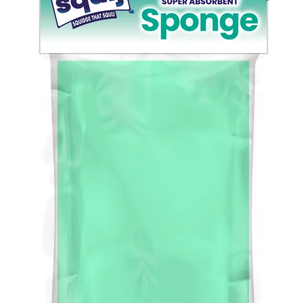 151-SQ002 SQUIJ ABSORBENT SPONGE- ASST